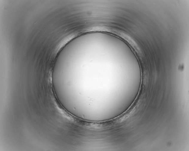 X0000093601241200711051151