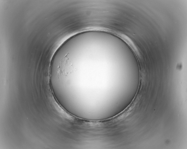 X0000093601244200711051151