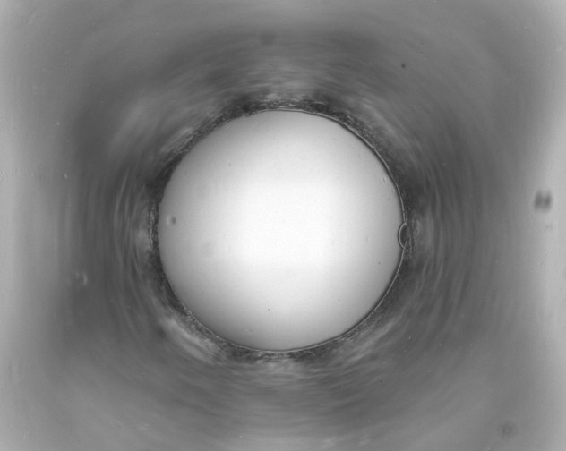 X0000093601250200711051151