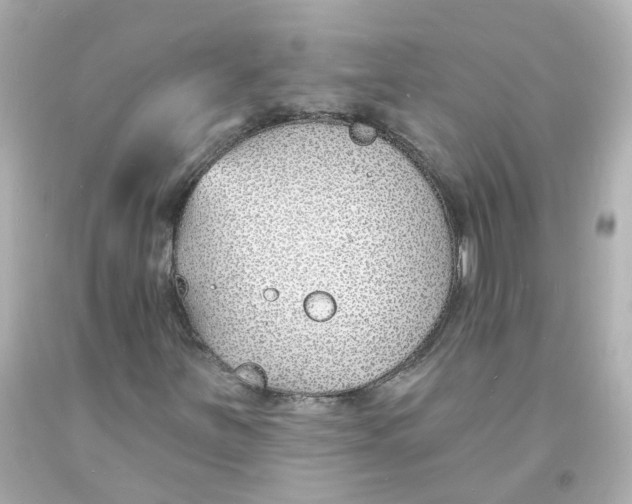 X0000093601251200711051151