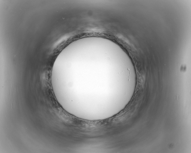 X0000093601254200711051151