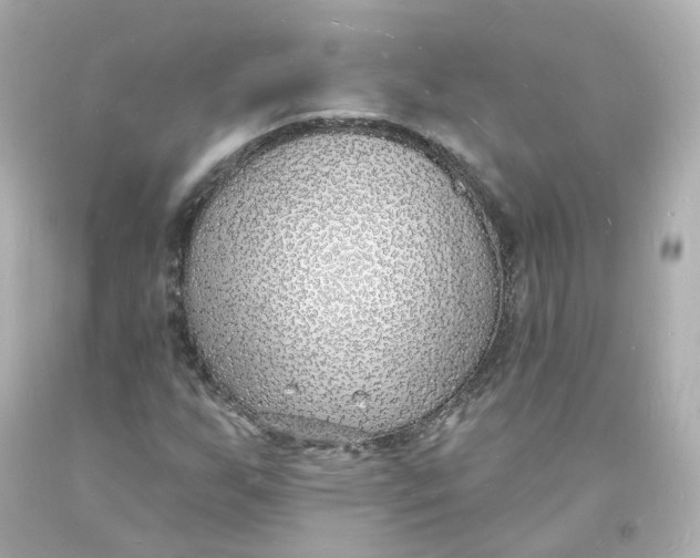 X0000093601255200711051151