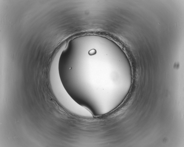 X0000093601257200711051151