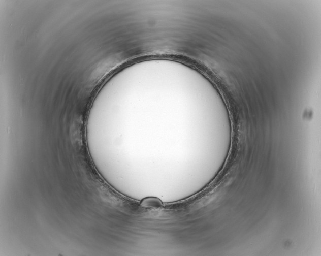 X0000093601265200711051151