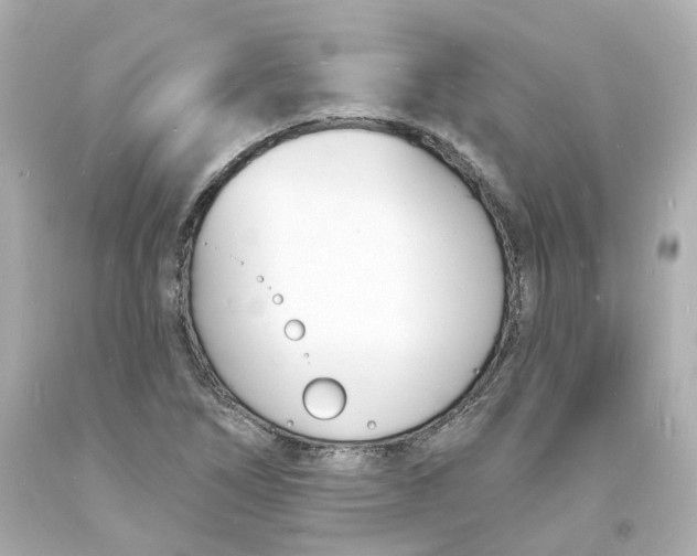 X0000093601266200711051151