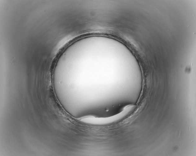 X0000093601267200711051151