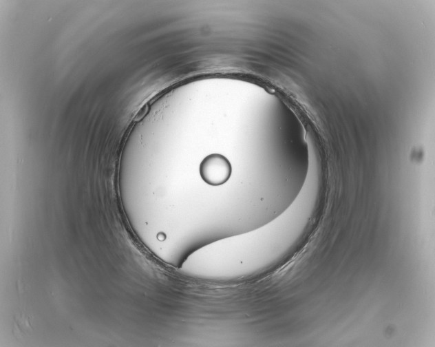 X0000093601273200711051151