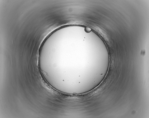 X0000093601276200711051151