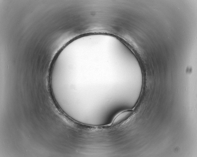 X0000093601277200711051151