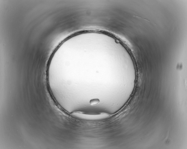 X0000093601279200711051151