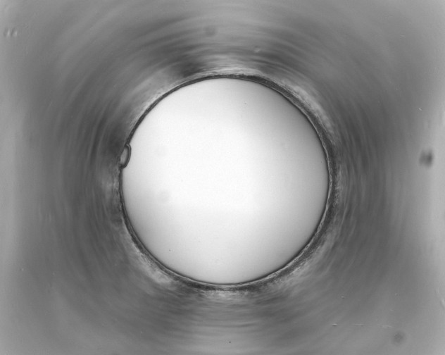 X0000093601281200711051150