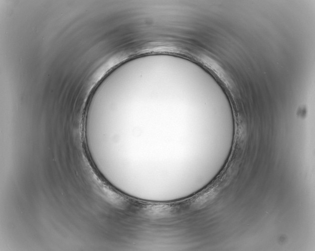 X0000093601282200711051150