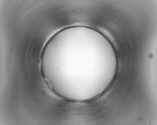 X0000093601284200711051150