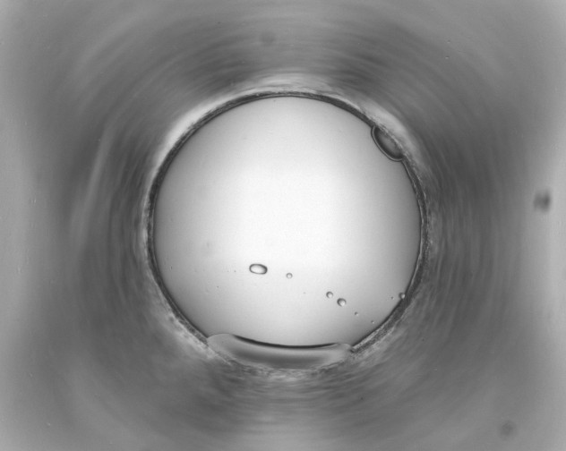 X0000093601288200711051150