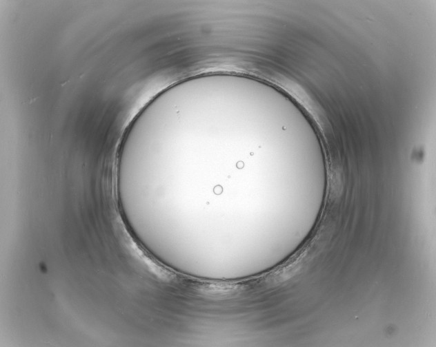 X0000093601290200711051150