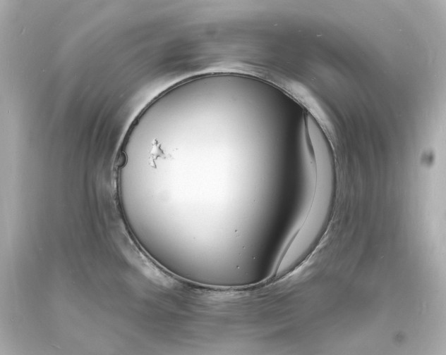 X0000093601292200711051150