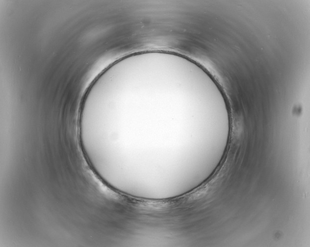 X0000093601294200711051150