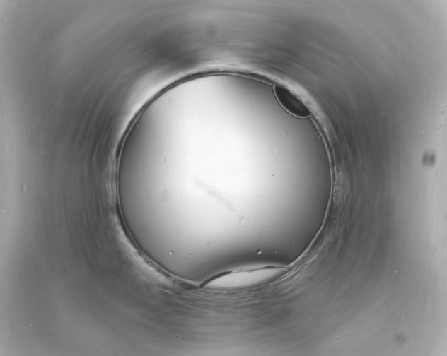 X0000093601295200711051150