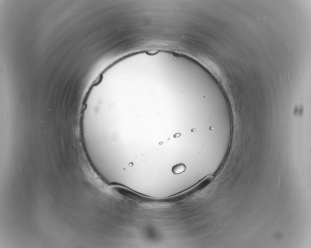 X0000093601296200711051150