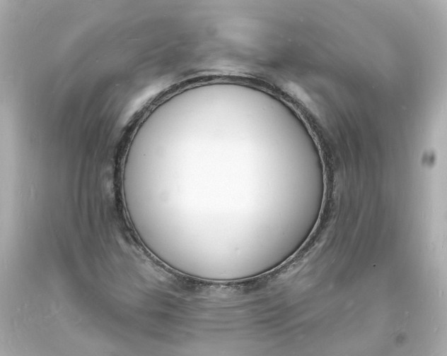 X0000093601307200711051150