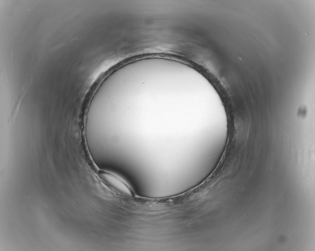 X0000093601308200711051150