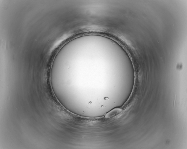 X0000093601309200711051150