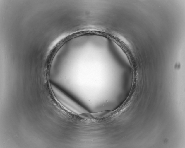 X0000093601310200711051150