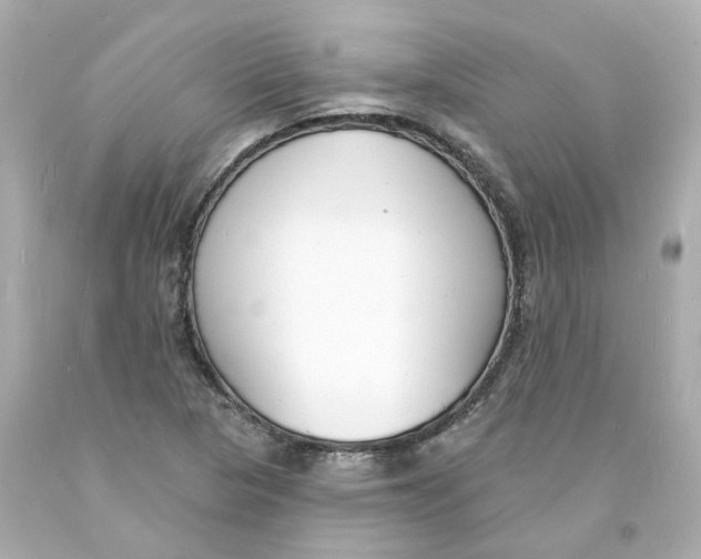 X0000093601313200711051150