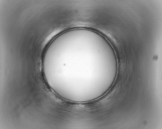 X0000093601317200711051150