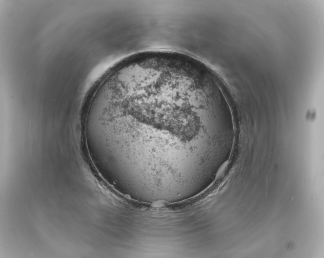 X0000093601319200711051150