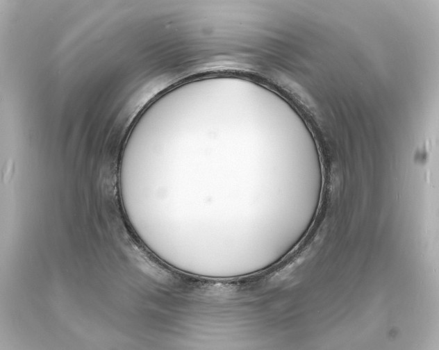 X0000093601321200711051150