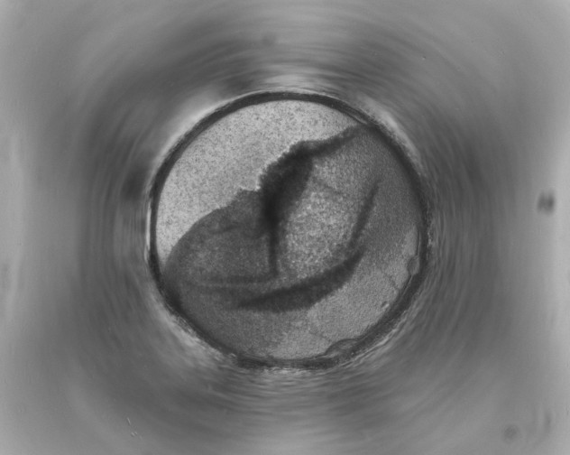 X0000093601323200711051150