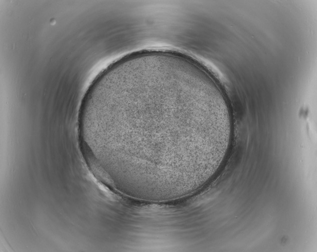 X0000093601327200711051150