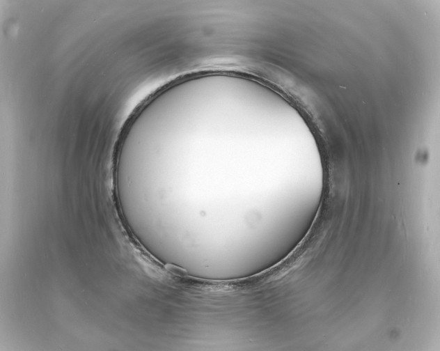 X0000093601328200711051150