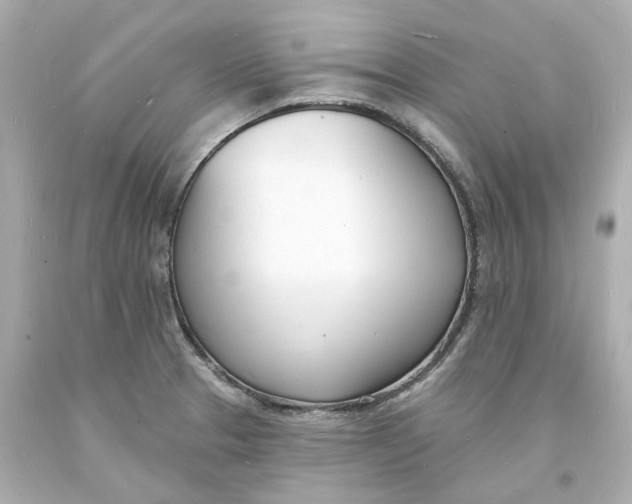 X0000093601329200711051150