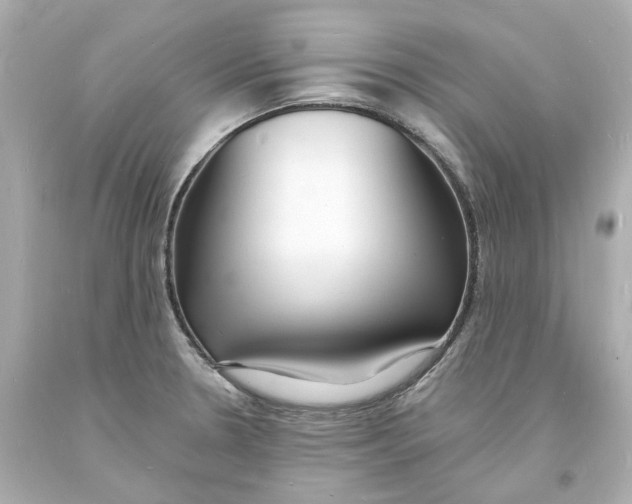 X0000093601330200711051150