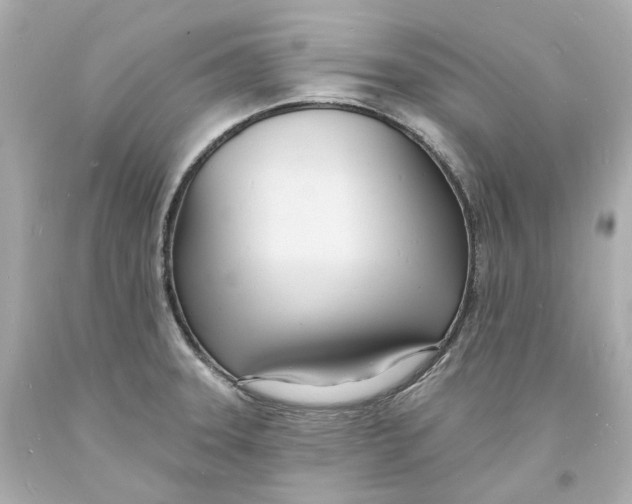 X0000093601331200711051150