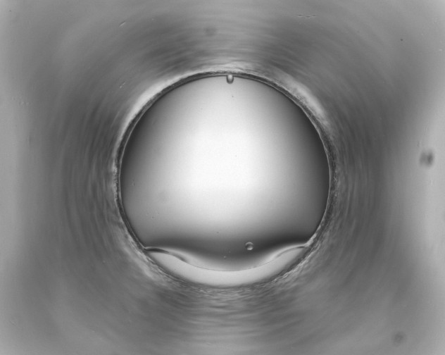 X0000093601332200711051150