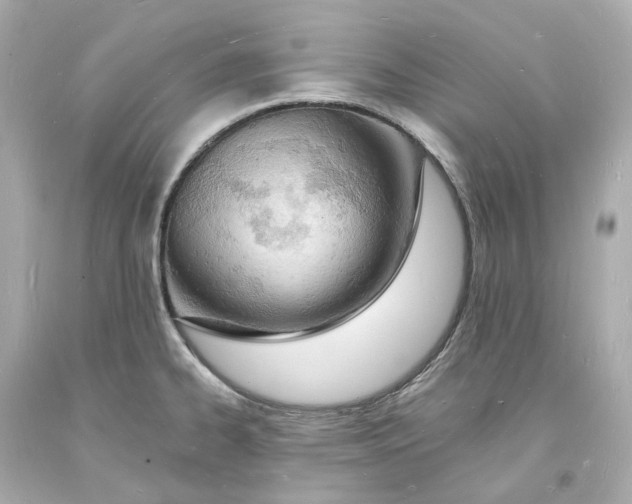 X0000093601334200711051150