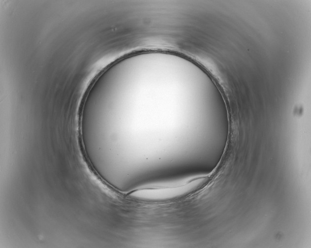 X0000093601335200711051150