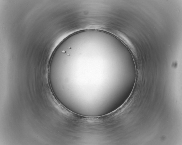 X0000093601340200711051150