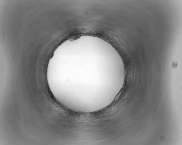 X0000093601345200711051150