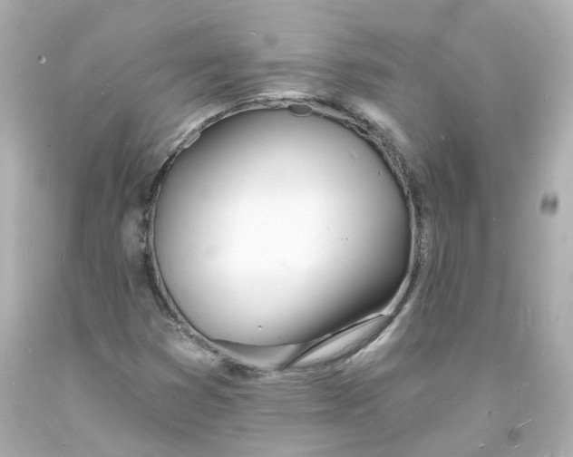 X0000093601353200711051150