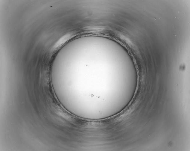 X0000093601354200711051150