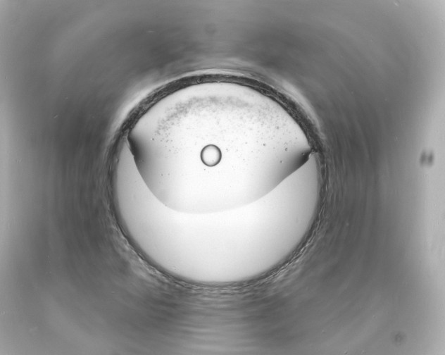 X0000093601360200711051149