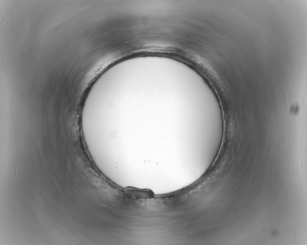 X0000093601362200711051149