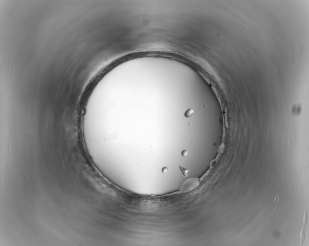 X0000093601364200711051149