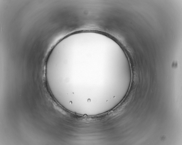 X0000093601366200711051149