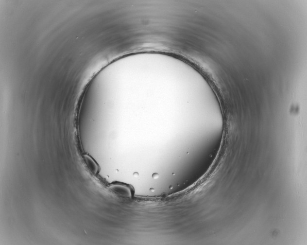 X0000093601373200711051149