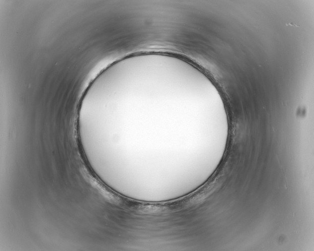 X0000093601374200711051149